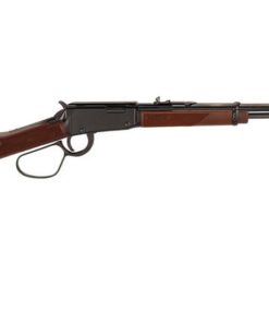 Henry 22 Magnum Lever Action Rifle with Large Loop
