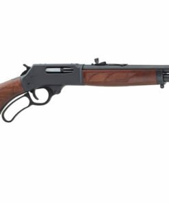 Henry 45/70 Lever Action Rifle with Adjustable Semi-Buckhorn Sight