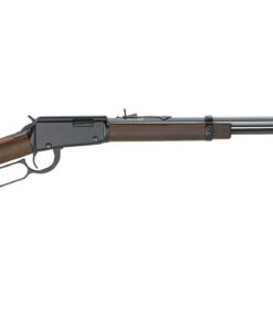 Henry Golden Boy .22 S/L/LR Stand For The Flag Edition Rifle
